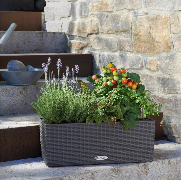 Actual product image Lechuza Balconera Cottage (19 cm)