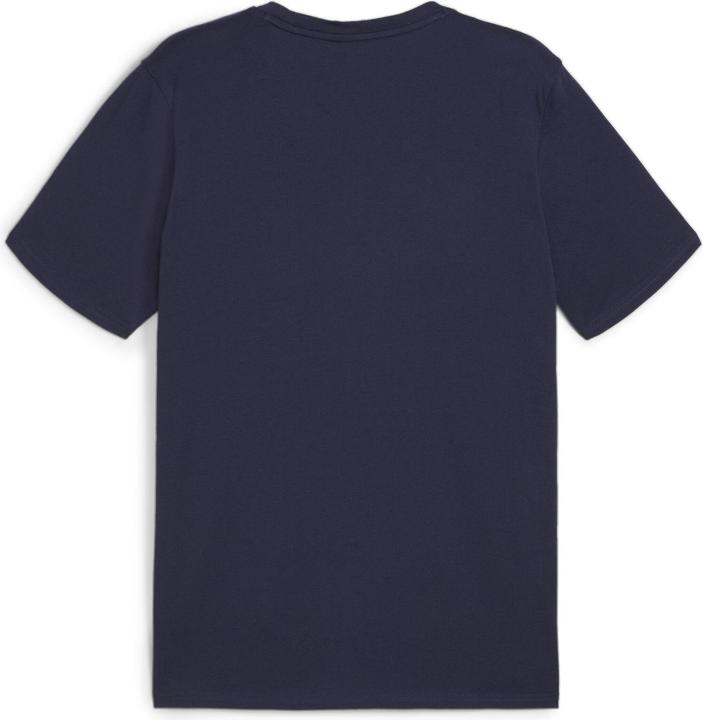 Puma teamGOAL Casuals Tee
