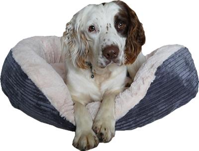 Produktbild Rosewood Hondenmand Ovaal Jumbo Cord Pluche Grijs / Creme (Hund)