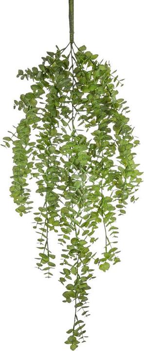 Actual product image Fiebiger Giardino