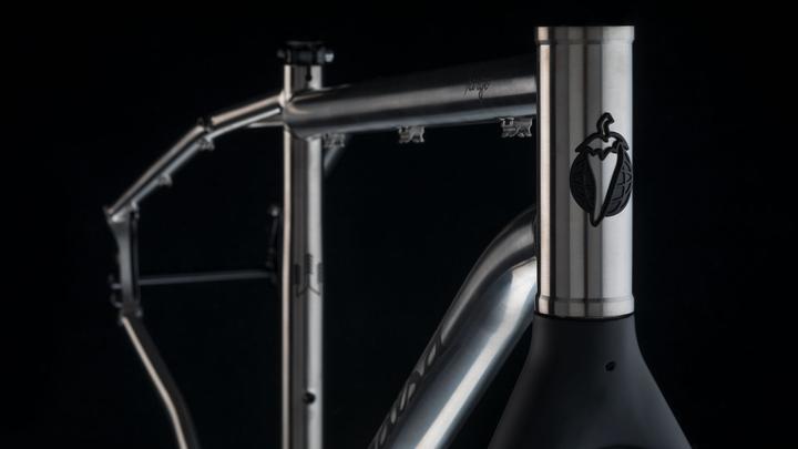Actual product image Salsa Fargo Ti MTB frame kit, 27.5+/29", XS, titanium