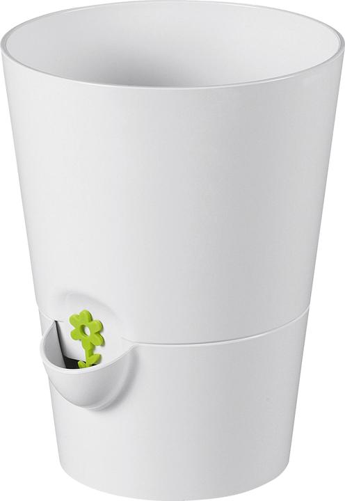 Emsa Erbe fresche (13 cm)