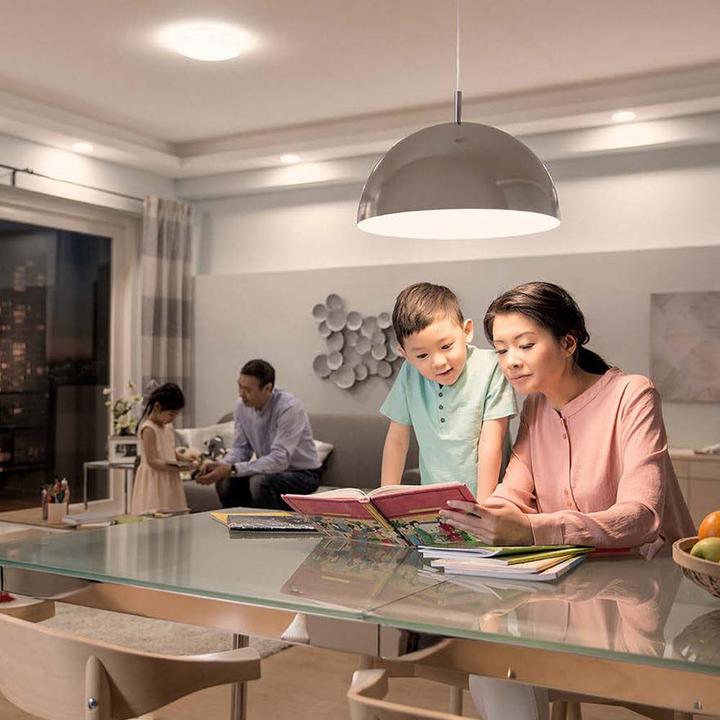 Actual product image Philips Professional Lamp 2 W to 8 W (60 W) E27 variable colour temperature (E27, 7.50 W, 806 lm, 1 x, F)