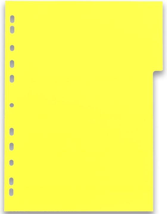 Actual product image Elba Plastic register myColour