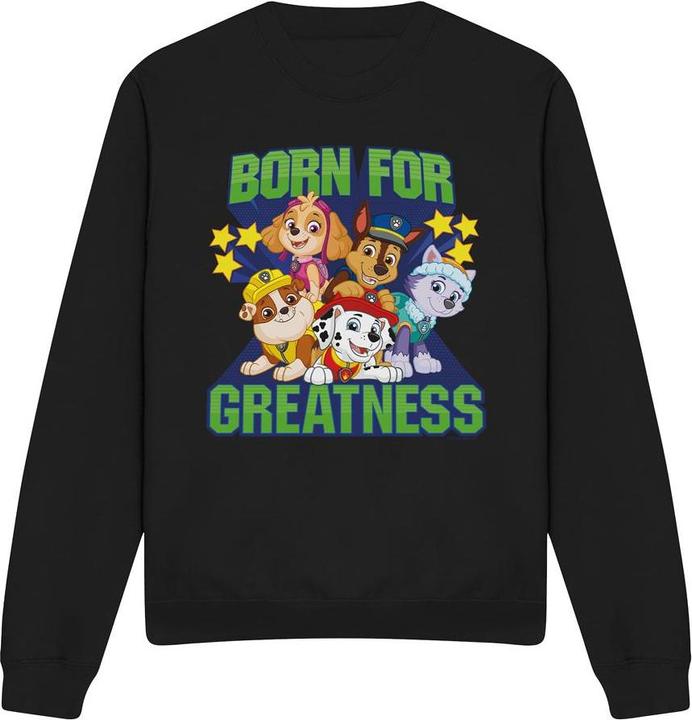 Image du produit Paw Patrol - Sweat BORN FOR GREATNESS - Adulte (M)