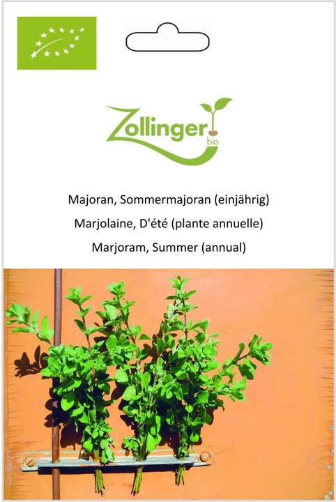 Immagine prodotto Zollinger Bio Maggiorana, sindaco estivo (annuale)