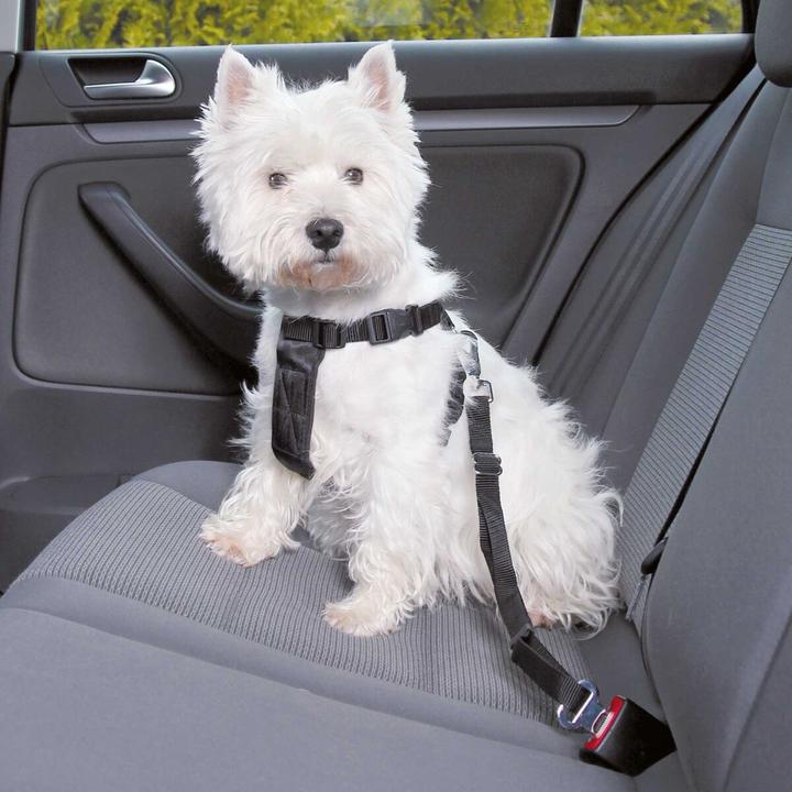 Actual product image Trixie Car harness (XS, Dog, General)