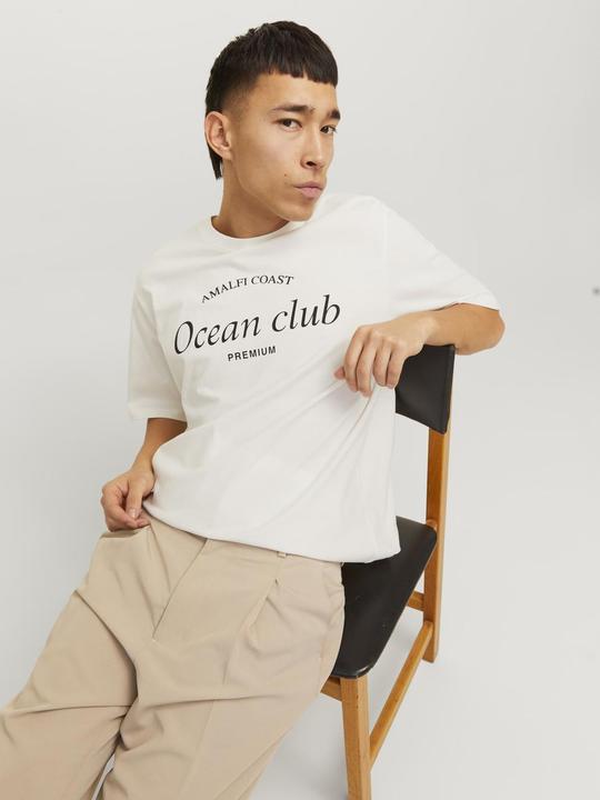 Produktbild Jack & Jones Gedruckt Rundhals T-shirt T-shirt (S)