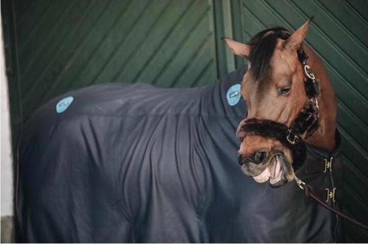 Produktbild Kentucky Horsewear Magnetische Recuptex Decke (140 cm)