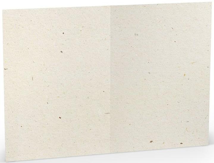 Immagine prodotto Rössler Biglietto da lettera Paperado Terra vanilla (5 pz.)