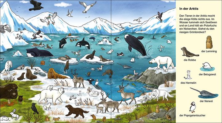 Immagine prodotto Suche und finde! - Wilde Tiere (Tedesco, Loewe I miei primi libri, Diana Kohne, Tina Frankenstein-Börlin, 2023)