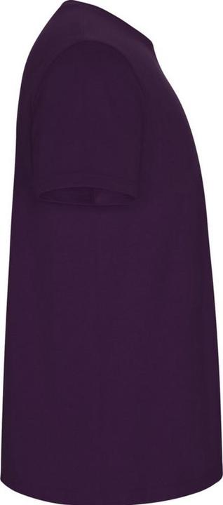 Actual product image Alpinia Mens Stafford T-Shirt (M)
