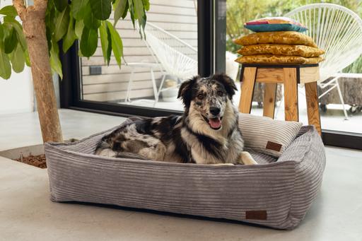 Image du produit Designed by Lotte Ribbed (Chien)