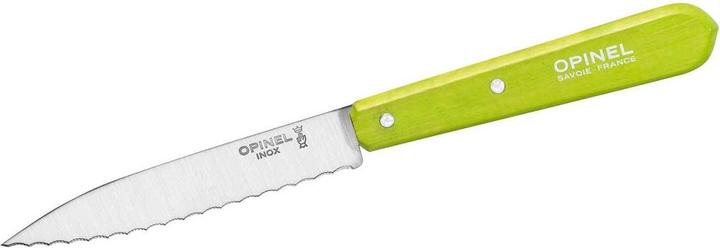 Produktbild Opinel 001920 Küchenmesser No. 113 hellgrüner Buchenholzgriff (9.40 cm)