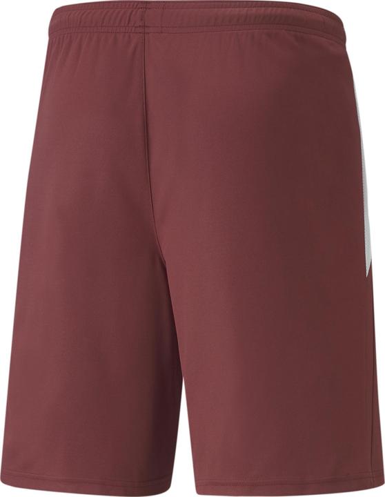 Actual product image Puma teamLIGA Shorts-704924 (L)