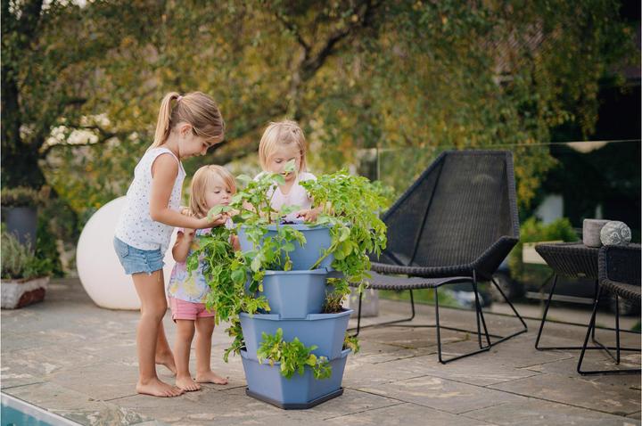 Immagine prodotto Gusta Garden Coltivatori PAUL POTATO, 4 livelli, blu-grigio (38.80 cm)
