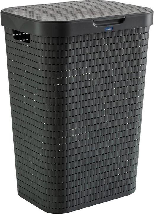 Actual product image Rotho Country (55 l)