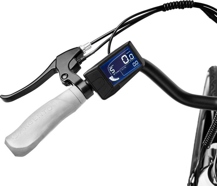 Actual product image Argento Omega White e-bike
