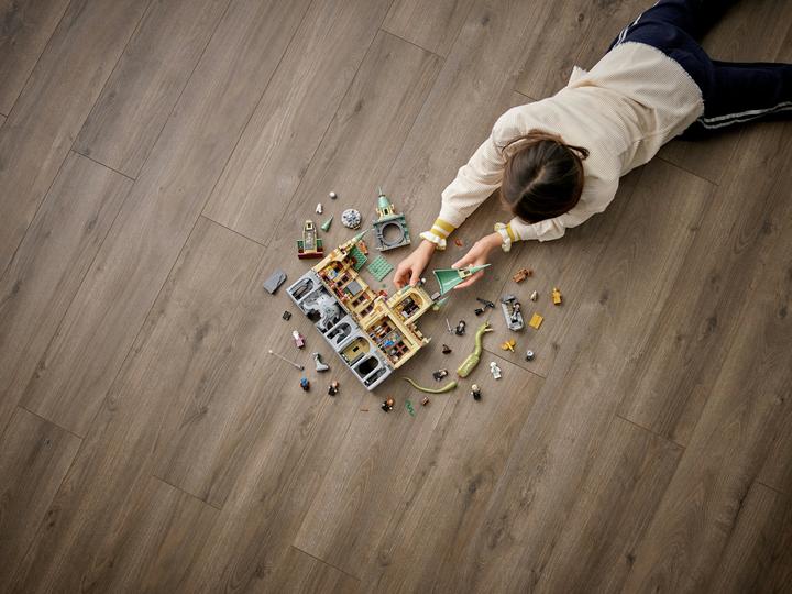 Image du produit LEGO La Chambre des Secrets de Poudlard (76389, LEGO Harry Potter)