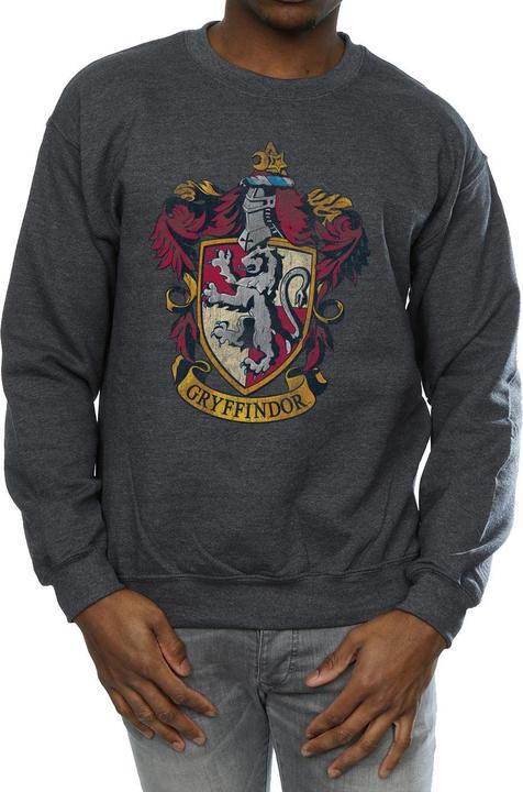 Immagine prodotto Felpa Gryffindor Uomo (M)