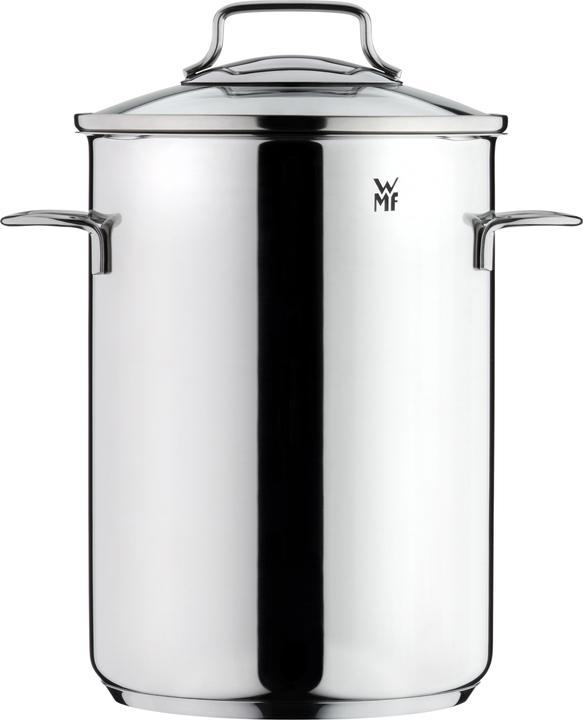 WMF Asperge Pot Kookpot Inductie Hoog 16cm Pot met Glazen Deksel 5.0l Roestvrij Staal (16 cm, Steelpan, Roestvrij staal)