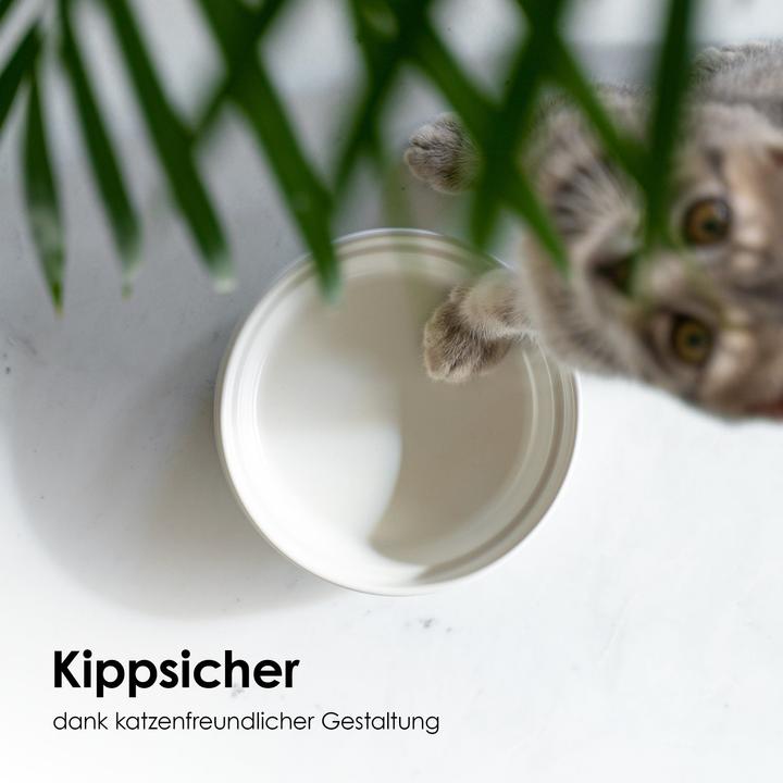 Actual product image LucyBalu BOWL Porzellan Katzennapf