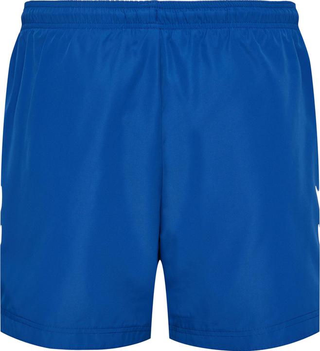 Actual product image hummel hmlLGC NED SWIM SHORTS (M)