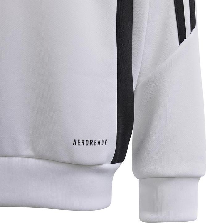 Actual product image adidas TIRO24 TRHOOD Y (176)