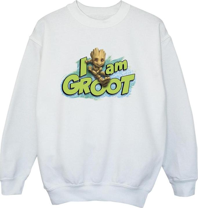 Guardians Of The Galaxy I Am Groot Jumping Sweatshirt Jungen