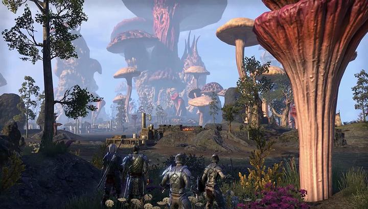 Immagine prodotto Bethesda Elder Scrolls Online (incluso Morrowind) (PS4)