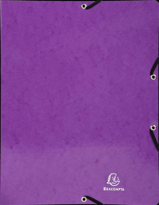 Actual product image Exacompta Ring binders (A4, 20 mm, 1 Piece)