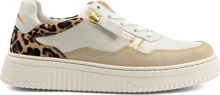 Actual product image Gabor 66-408 (35.5)