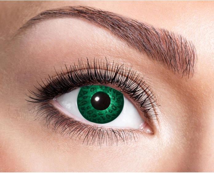 Image du produit Zoelibat Vert Foncé (Vert foncé)