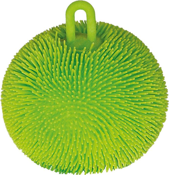 Actual product image Stnux Squishy Sensory ball display Mix 12 pieces