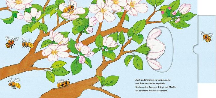 Produktbild Das Apfelwunder (Deutsch)