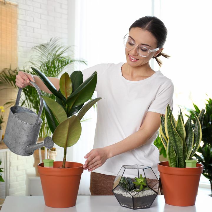 Actual product image Relaxdays Watering spikes (Clay cone)