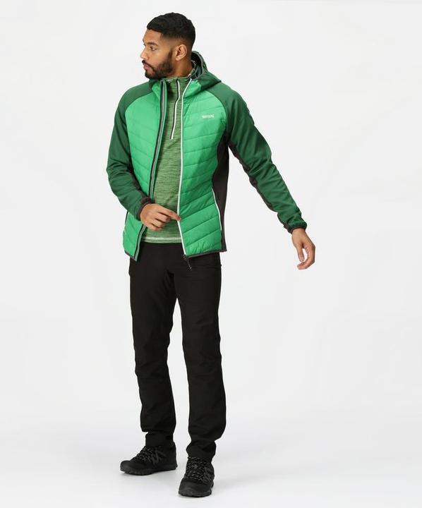 Actual product image Regatta Andreson VIII Hybrid (S)