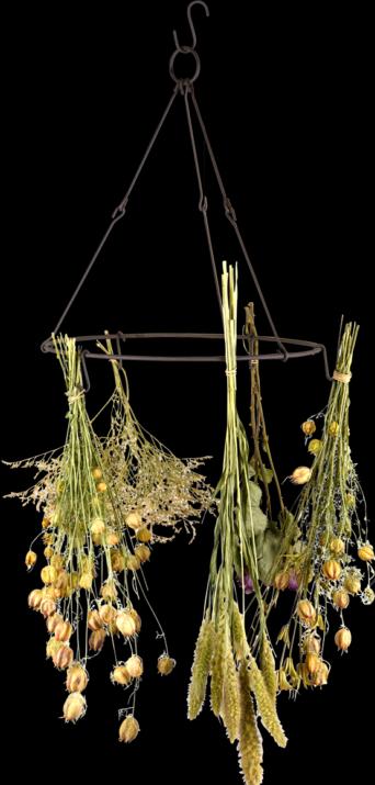Immagine prodotto Esschert Design Asciugatrice per fiori ed erbe da appendere