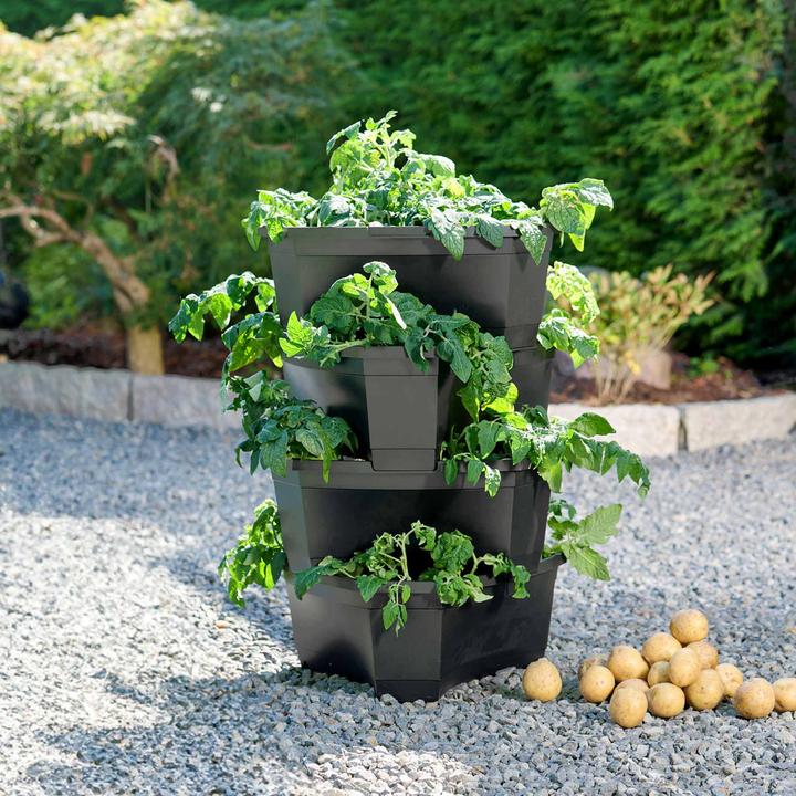 Actual product image Romberg Potato and plant tower with anti-waterlogging function - 54 litre plant pyramid made of recycled