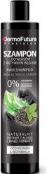 Produktbild DermoFuture Charcoal Shampoo (250 ml, Flüssiges Shampoo)