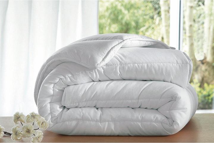 Image du produit La Redoute Interieurs Couette Synthetique (260 x 240 cm)