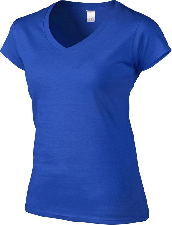 Actual product image Gildan Womens/Ladies Soft Style V Neck T-Shirt (M)
