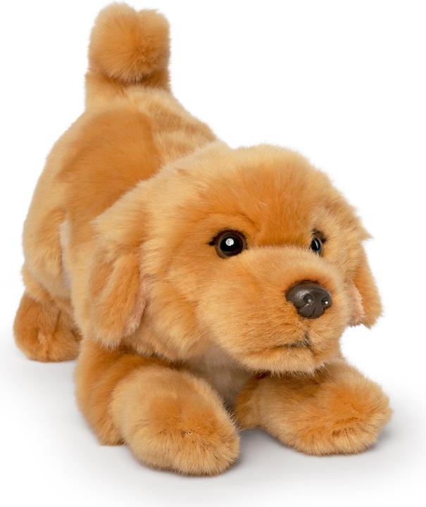Immagine prodotto Living Nature Cucciolo di Golden Retriever che gioca (24 cm)
