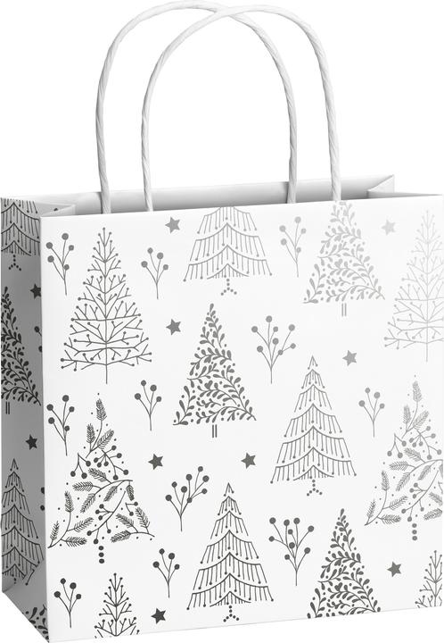 Immagine prodotto Stewo Borsa regalo (Scatola da regalo, 1 x)