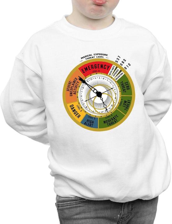 Actual product image Fantastic Beasts Boys Threat Level Sweatshirt (140, 146)
