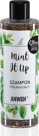 Anwen Mint It Up Hair Scrub Shampoo (200 ml, Flüssiges Shampoo)