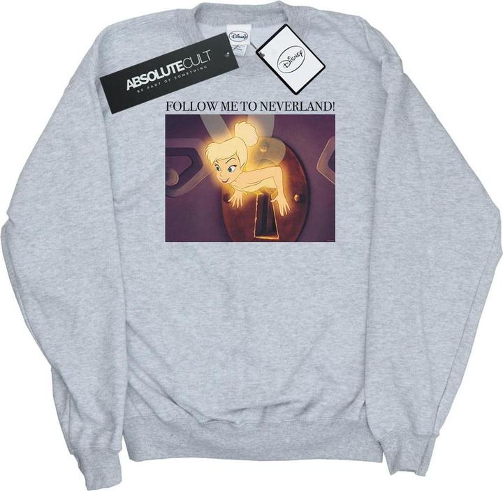 Disney Tinker Bell Follow Me Sweatshirt (XXL)