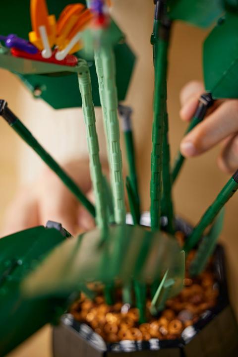 Produktbild LEGO Bird of Paradise (10289, LEGO Seltene Sets)