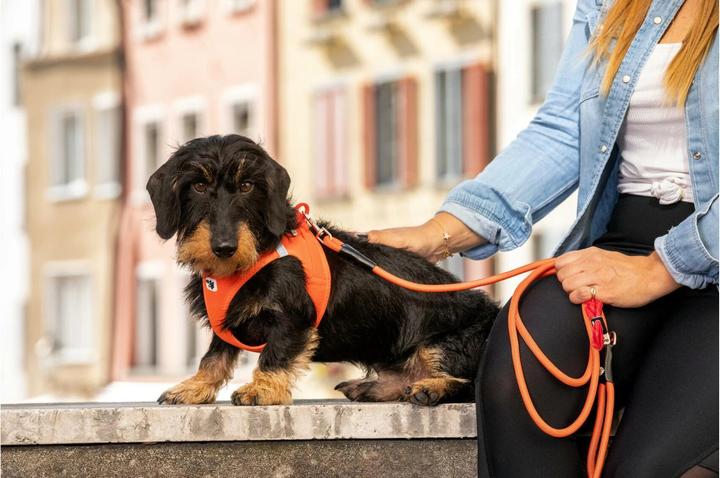 Produktbild Curli Geschirr Vest Air-Mesh M, Moss (M, Hund, Allgemein)