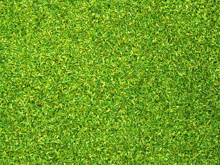 Image du produit Noch Matériau de diffusion prairie de printemps 0